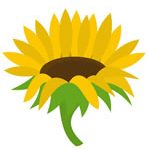 Sunflower icon