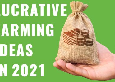 Farming ideas that will be lucrative in 2021